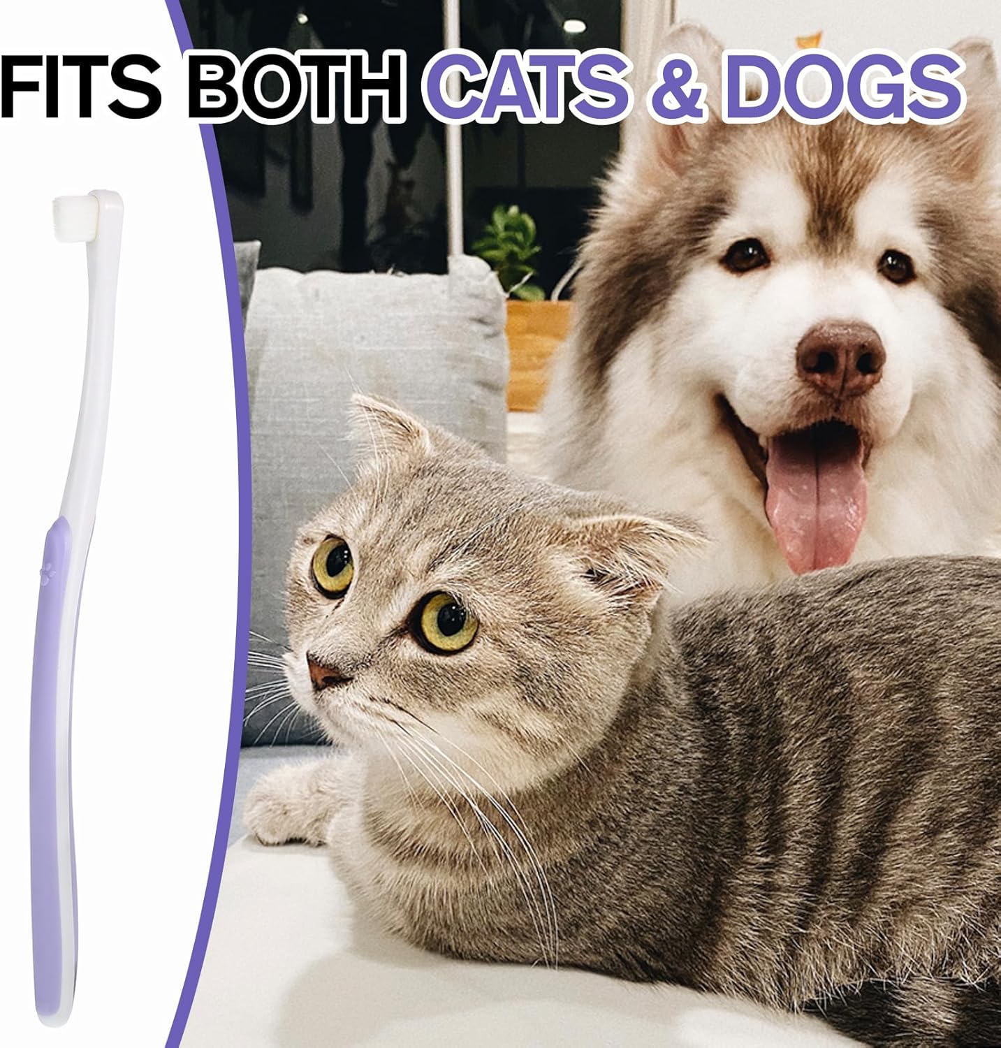 Small Dog Cat Toothbrush Pets Toothbrush Soft Bristle Cat Dental Brush Micro Head Puppy Tooth Brush Deep Clean Kit Portable Cats Dental Care for Puppy Kitten Daily Brushing