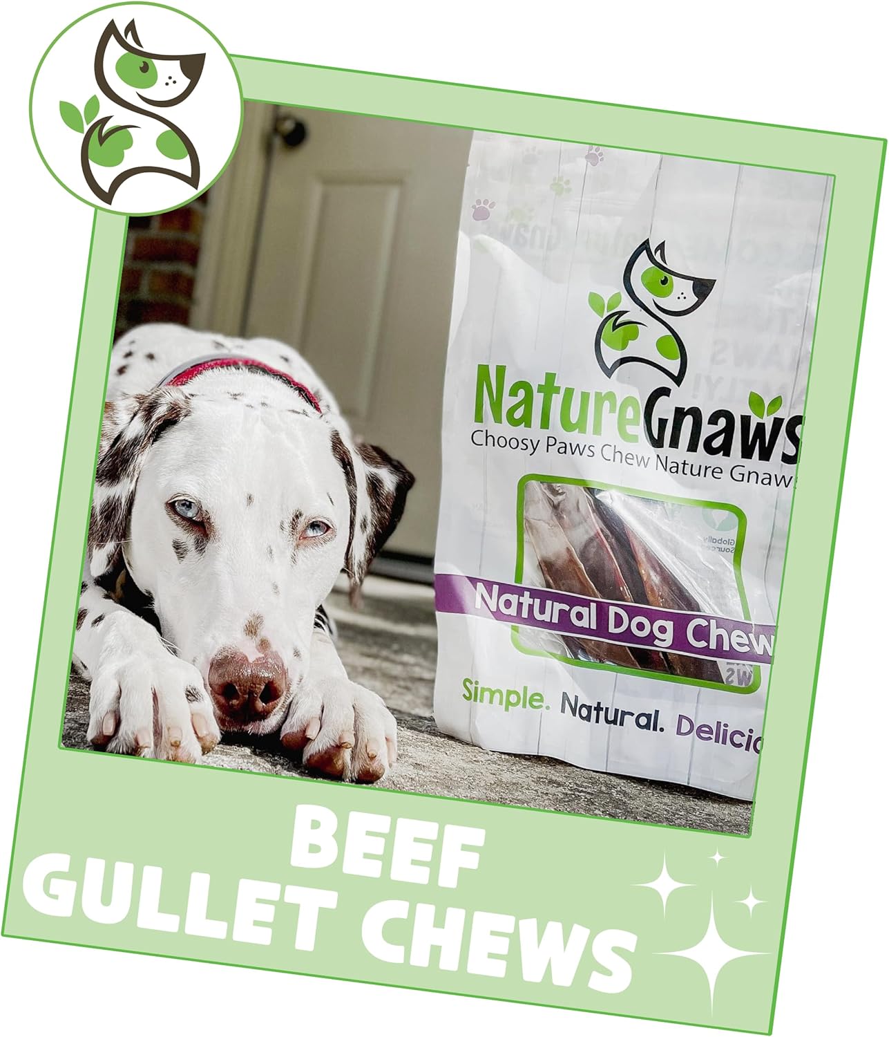 Nature Gnaws Beef Gullet Chews for Large Dogs 9-10" (20 Count) - Natural Beef Jerky Stick Dog Chew Treats - Rawhide Free