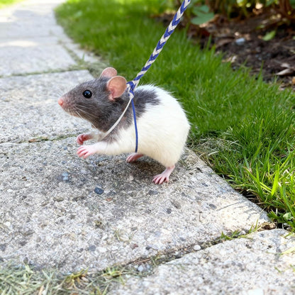 3 Pack Adjustable Hamster Leash Harness for Ferret Mouse Squirrel Small Animal