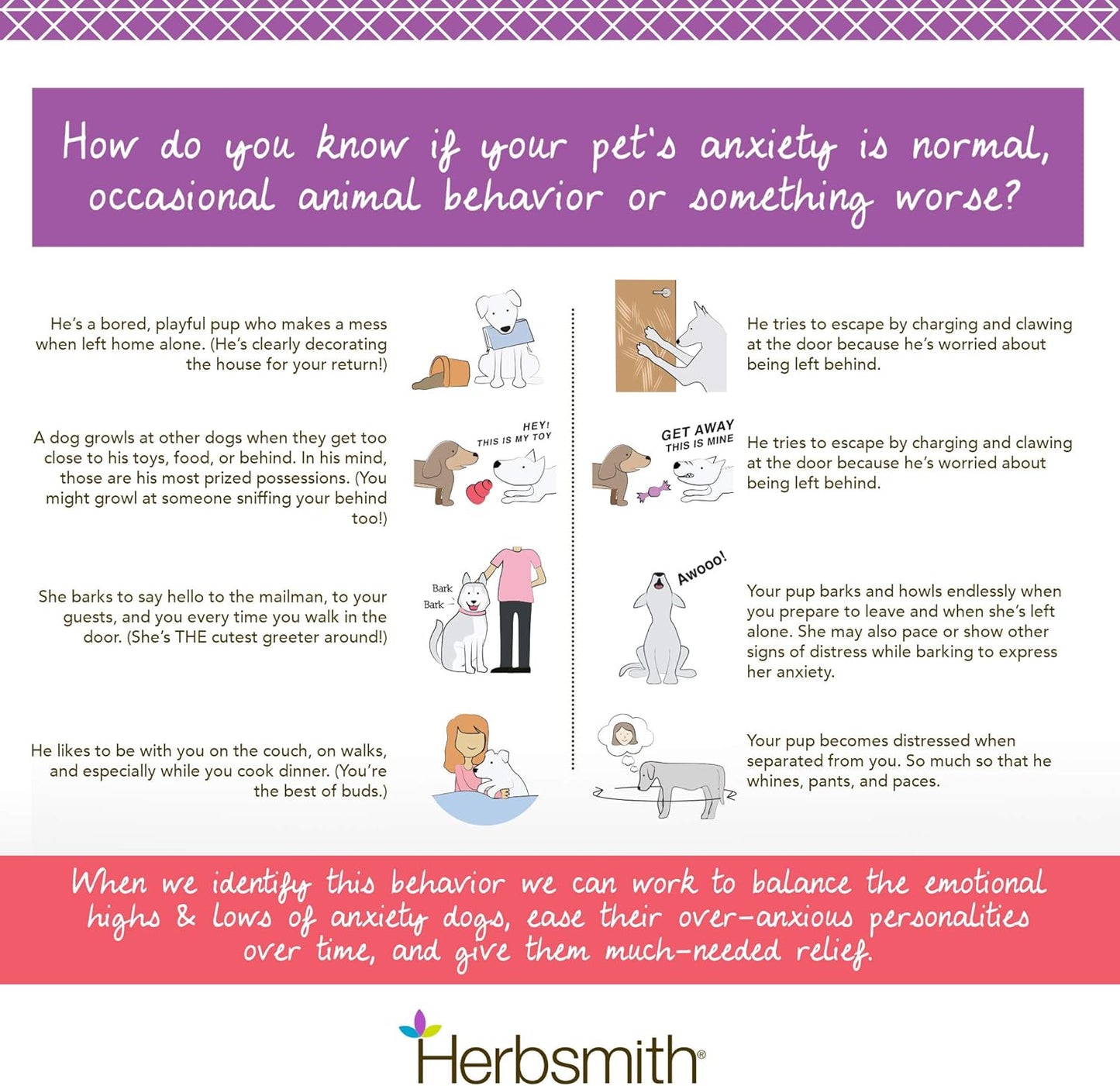 Herbsmith Calm Shen – Herbal Blend for Dogs & Cats – Natural Anxiety Remedy for Dogs & Cats – Feline and Canine Calming Supplement – 270 Tablets