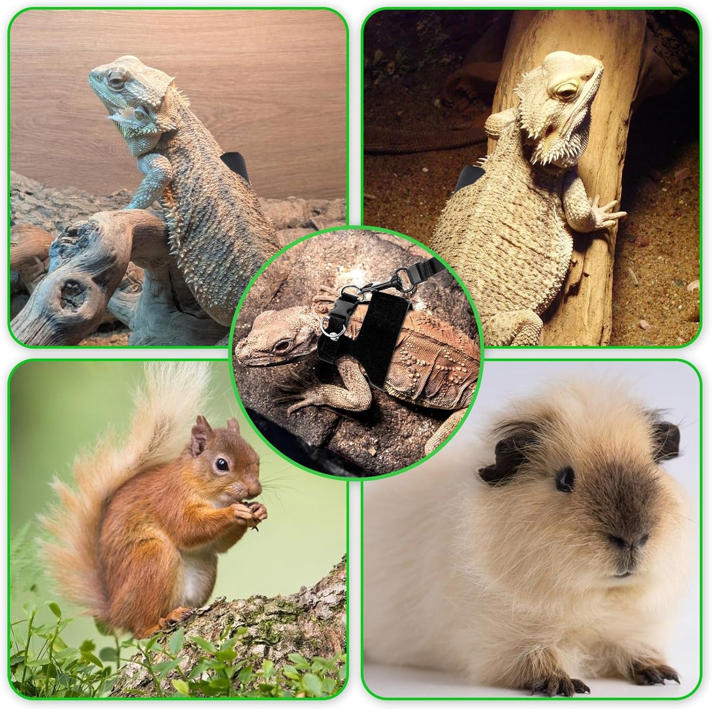 Bearded Dragon Harness Leash 3 Size Adjustable Soft Reptile Leash Retractable Bearded Dragon Vest Training Walking Lizard Traction Rope for Outdoor Small Animal Rabbit Squirrel (Black)