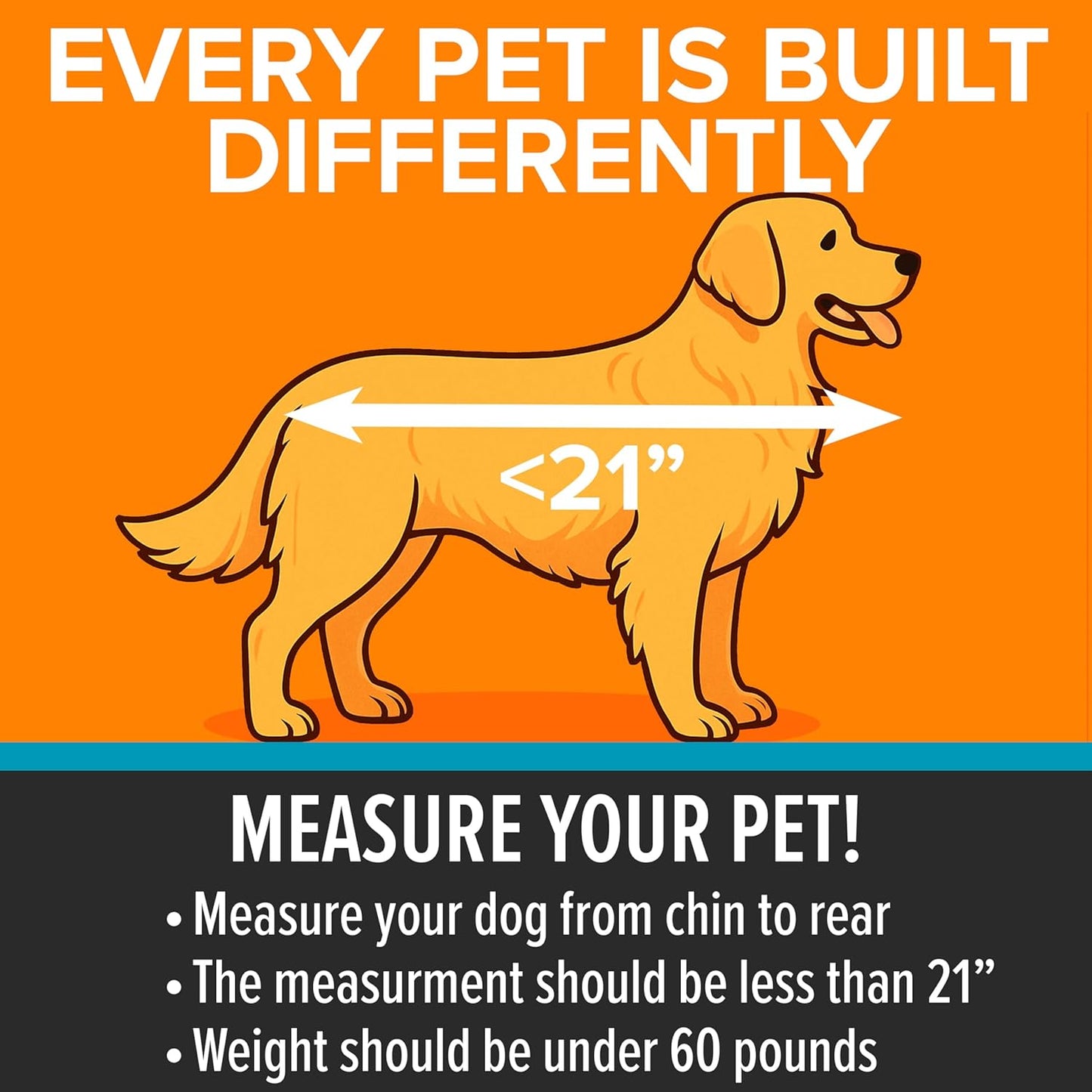 K&H Pet Products Buckle N Go Dog Car Seat for Large Dogs, Waterproof Fabric, Breathable Mesh Sides, Adjustable Seat Belt Leash, Carseat for Medium to Large Pets, Car Seat Cover - 21 X 19 X 19in