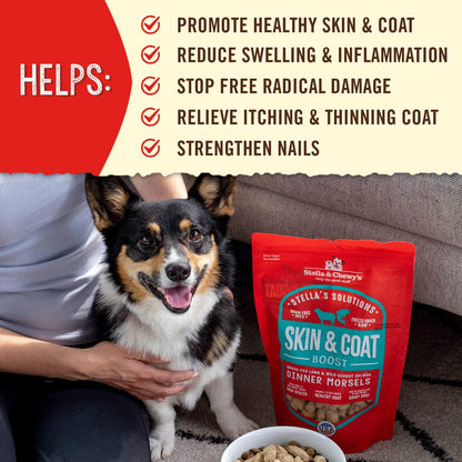 Stella & Chewy's Freeze-Dried Raw Dog Food for Skin & Coat - Grass-Fed Lamb & Wild-Caught Salmon - Natural Solution for Itchy Skin, Dull Coat & Shedding - Premium Raw Nutrition - 13oz