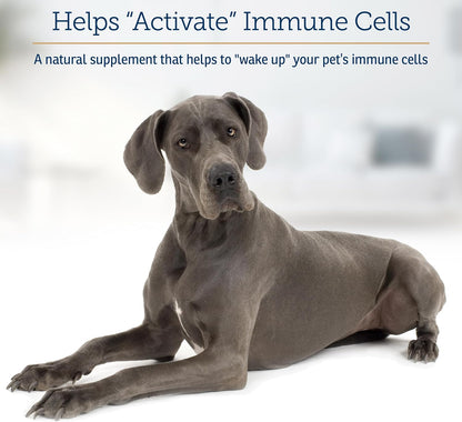 Rx Vitamins GlucaMune Forte - Immune Support Supplement with Beta Glucan for Dogs and Cats - Strengthens Natural Defenses for Overall Health - 60ct