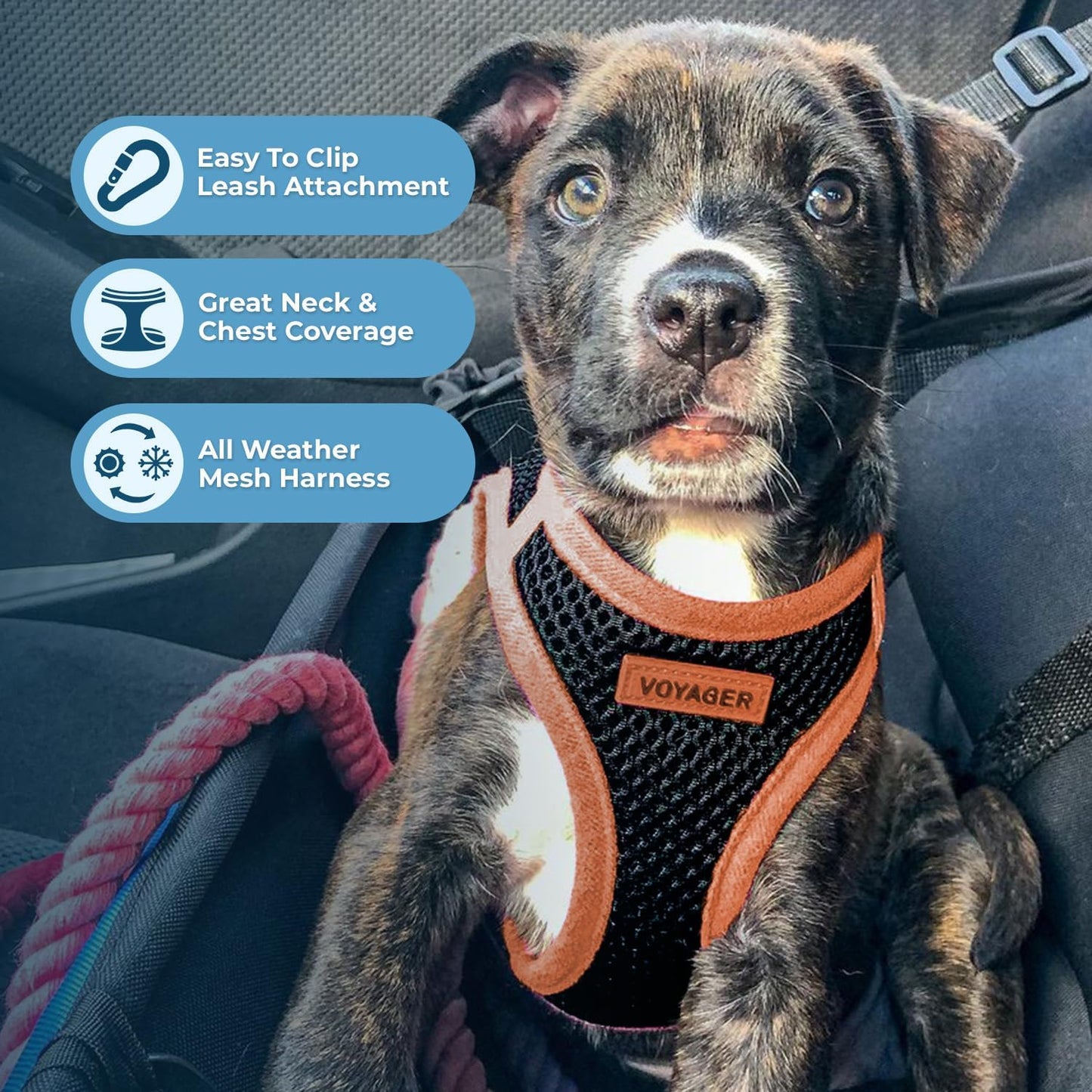 Best Pet Supplies Voyager Step-in Air All Weather Mesh Harness and Reflective Dog 5ft Leash Combo with Neoprene Handle, for Small, Medium and Large Breed Puppies - Set (Black/Orange Trim), Medium