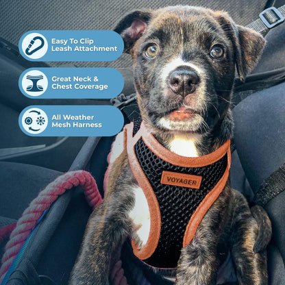 Best Pet Supplies Voyager Step-in Air All Weather Mesh Harness and Reflective Dog 5ft Leash Combo with Neoprene Handle, for Small, Medium and Large Breed Puppies - Set (Black/Orange Trim), Medium