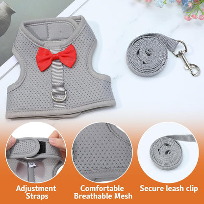 Bunny Harness and Leash Set, Soft Breathable Mesh Rabbit Leash Vest with Safety Buckles, Lightweight Escape-Proof Walking Gear for Rabbits, Kittens, Ferrets, Guinea Pigs, Grey M