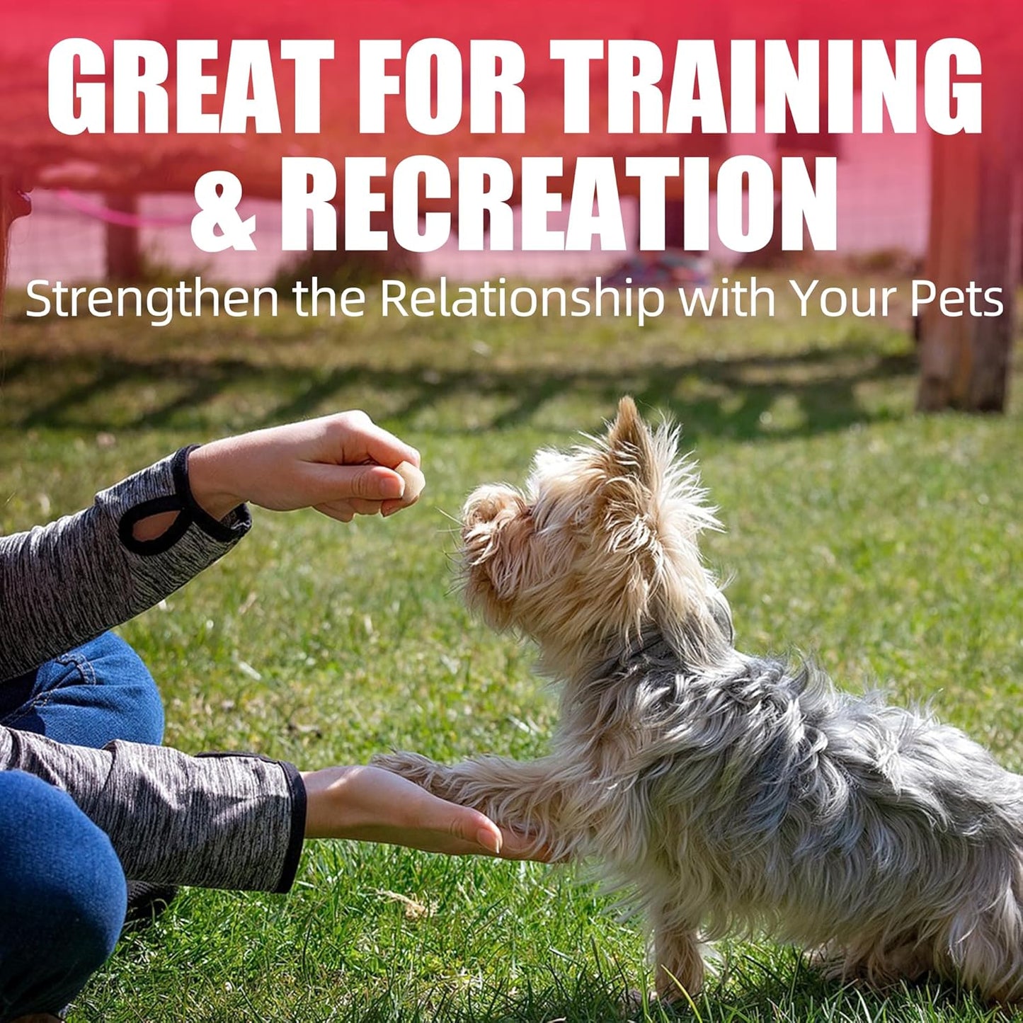 Just Try 7.04 oz Freeze Dried Chicken Cat & Dog Treats Food Topper Raw Single Ingredient High Protein Grain Free Healthy Dog Training Treats