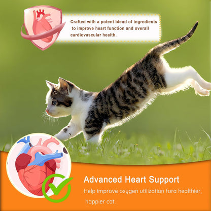 Cardio Chews for Cats - Advanced Cardiovascular Care - Heart Health & Circulation Support with Salmon Oil, Taurine, CoQ10 & More - Feline Supplement for Optimal Cardiac Function (Salmon)