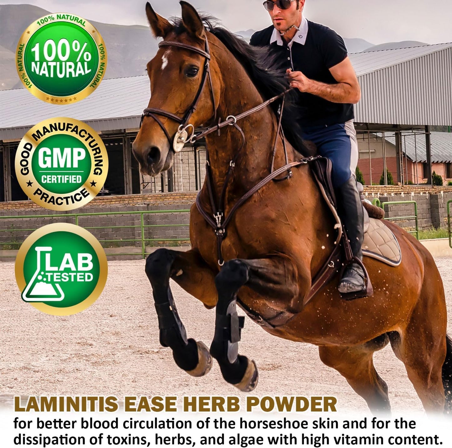 V-POINT - Laminitis Ease - hoof Supplements for Horses - Horse hoof Care Product Based on Natural Herbal Powder - Ideal for Hooves Health and Conditioning (1.0 lb)