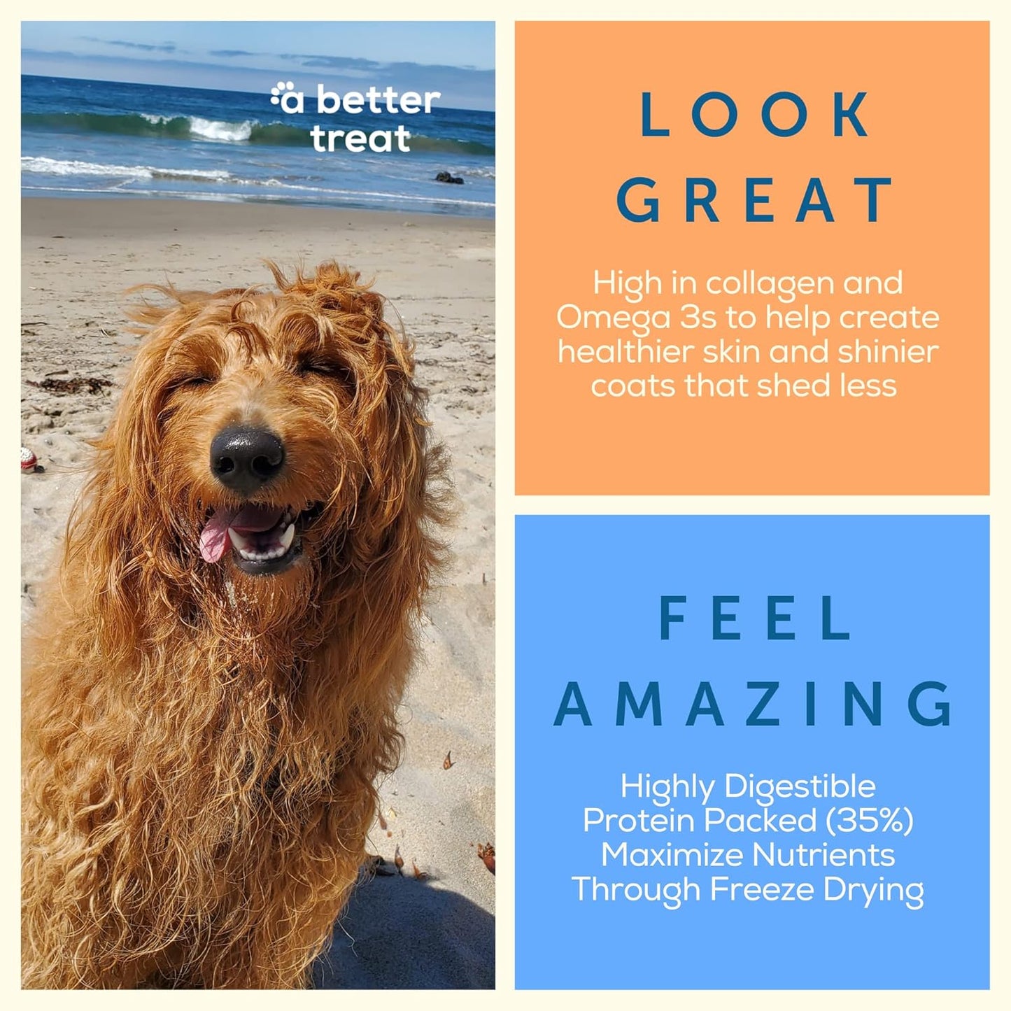 A Better Dog Food | Chicken Dry Dog Food | Raw You Can See | High Protein Kibble + Freeze Dried Raw Dog Food