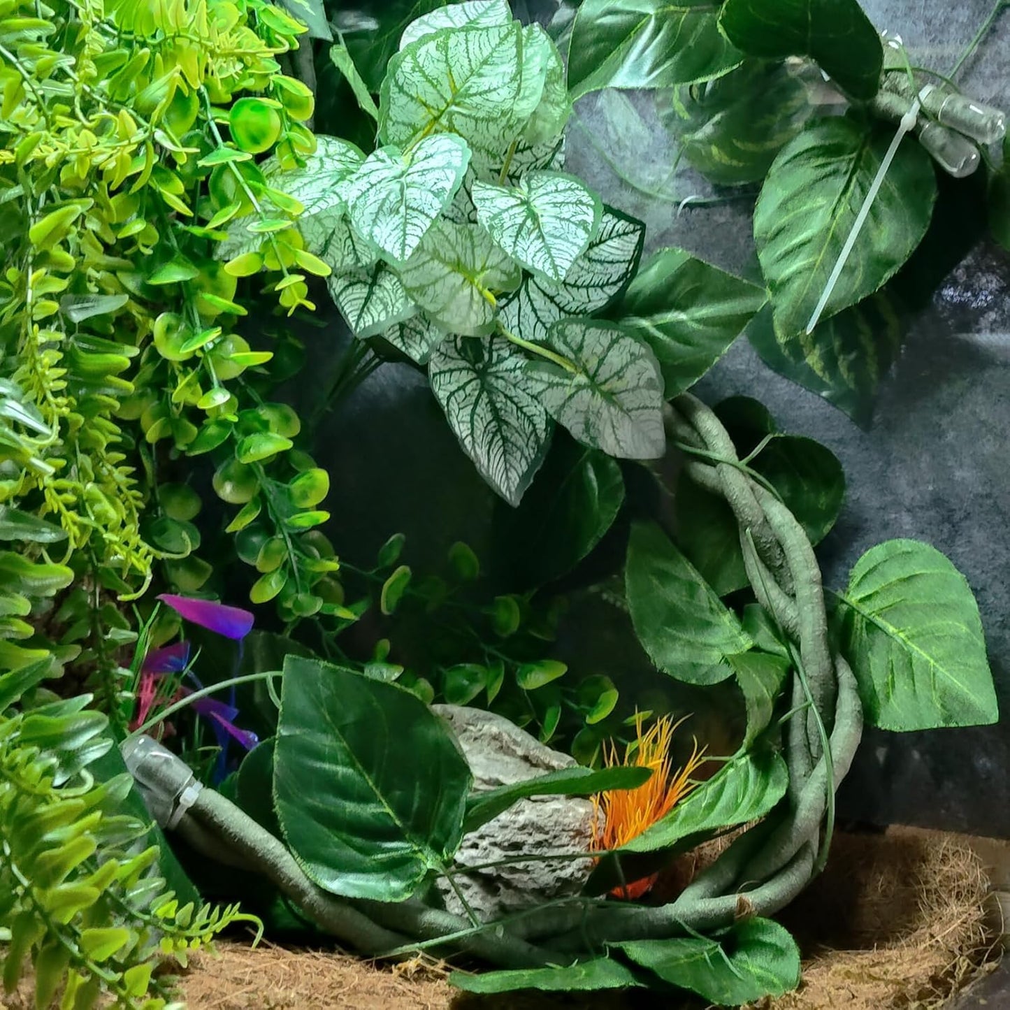 Reptile Vines, Flexible Snake Climbing Branch, Climber Chameleon Cage Vines Habitat Decor and Ball Python Terrarium Plants with Suction Cups for Chameleon Geckos Lizards Frogs