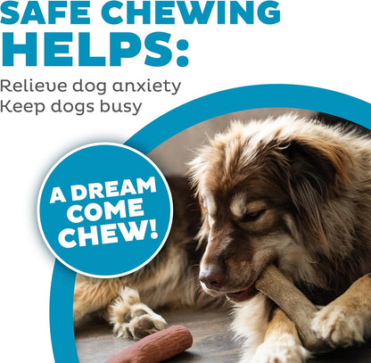 Outward Hound Dogwood Durable Dog Chew Toys, Real Wood & Mesquite, 2-Pack, Medium