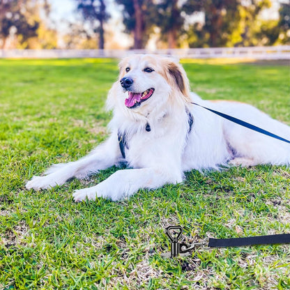 SELEWARE Dog Tie Out Stake Outdoor Anti-Rust Ground Anchor for Large Dogs up to 220 lbs, Free Swivel Dog Stake Dog Camping Gear Twist Rod Included