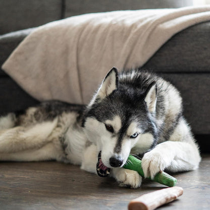 Outward Hound Dogwood Wood Durable Dog Chew Toys, Real Wood & Mint, 2-Pack, Large