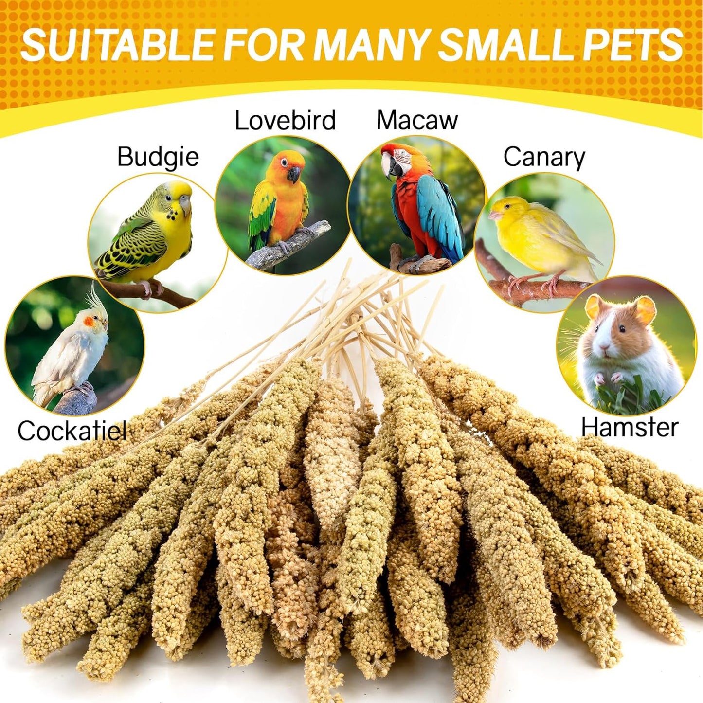 Sukh Millet Spray for Parrots - 30 Pcs Natural Sun-Dried Bird Treat, 12.6 Inches Bird Millets for Cockatiels, Budgies, Parakeets, Finches, Canaries and Pet Birds