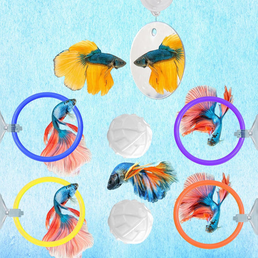 Betta Fish Enrichment Toys Ring with Mirror and 2 Bio Filter Balls, Exercise Mirrors and 4 Training Ring, Floating Mirrors Aquarium with Feeding Rings, Betta Fish Tank Accessories
