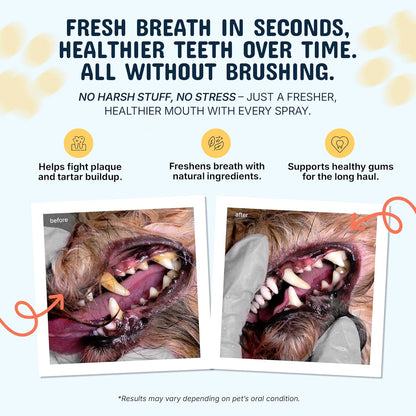 Pets are Kids Dog Dental Spray - 8oz Premium Dog Breath Spray & Dental Care - Natural Breath Freshener, Fights Tartar, Plaque & Gum Disease, Mouthwash for Dogs & Cats - Mint Formula Water Additive