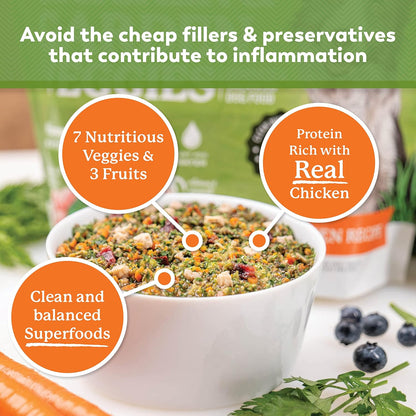 Now Fresh Good Gravy Premium Dry Senior Dog Food with Grass-Fed Beef & Ancient Grains, Healthy Kibble Coated in Bone Broth – Just Add Water to Moisten, Made with Real Red Meat, 3.5 lb Bag