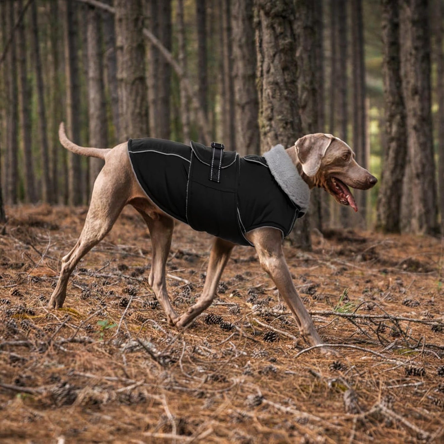 Lelepet Warm Dog Coats for Large Dogs Waterproof Dog Jacket Reflective Pet Fleece Vest Windproof Cold Weather Coats with Adjustable Buckle & Leash Hole, Black, XL