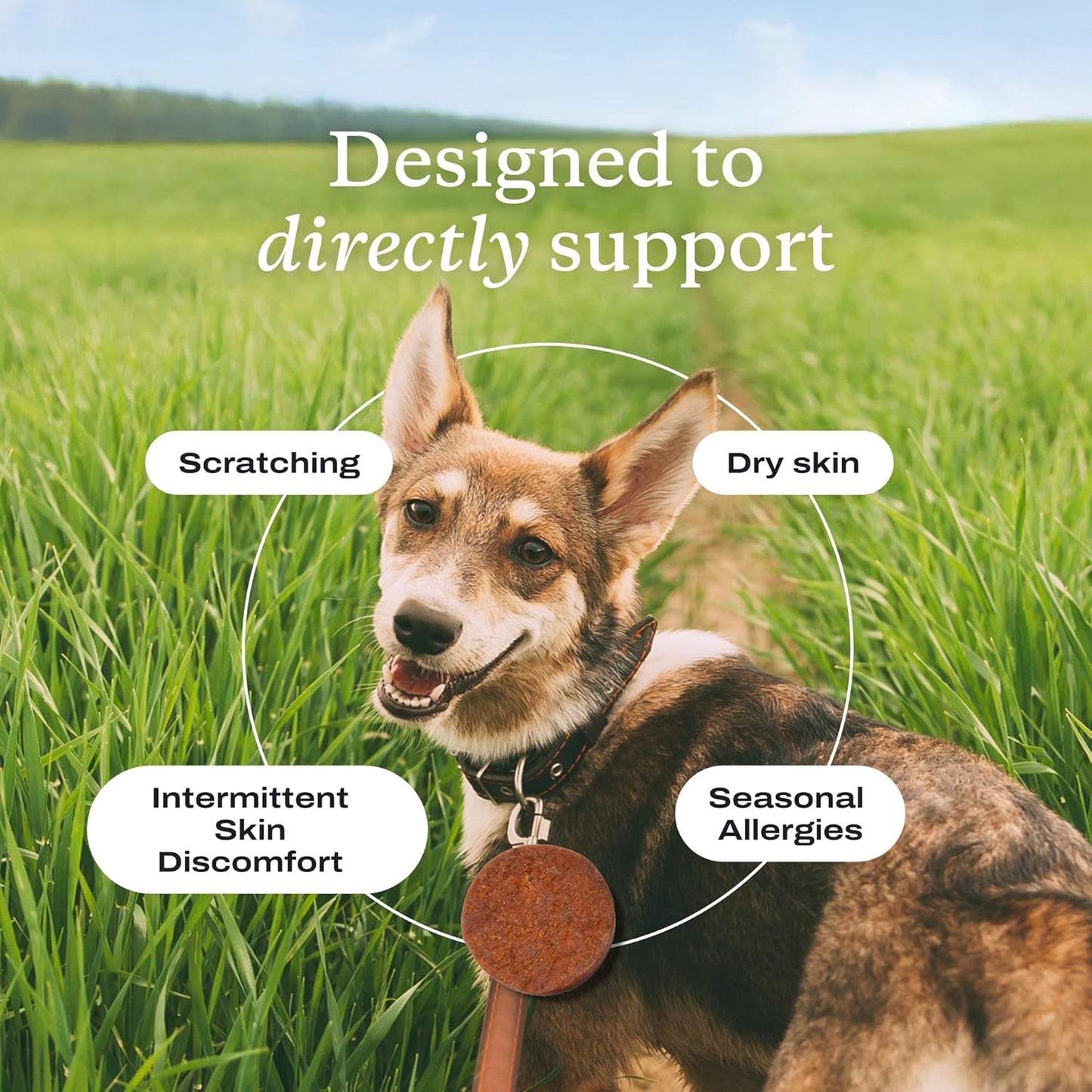 PetLab Co. Itch Relief Chew Pro – Itch Relief Chews for Dogs – Omega 3 for Dogs Itch Supplement - Packed with Beneficial Fatty Acids for Healthy Skin – Seasonal Allergies Support - Packaging May Vary