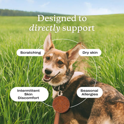 PetLab Co. Itch Relief Chew Pro – Itch Relief Chews for Dogs – Omega 3 for Dogs Itch Supplement - Packed with Beneficial Fatty Acids for Healthy Skin – Seasonal Allergies Support - Packaging May Vary