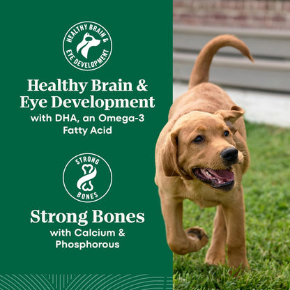 Nutro Natural Choice Puppy Food Dry, Lamb & Brown Rice Recipe, 12 lb. Bag