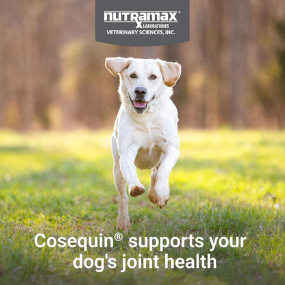 Nutramax Cosequin for Dogs Joint Health Supplement, Contains Glucosamine, Plus Chondroitin, MSM and Omega-3s, Supports Joint and Skin and Coat Health, Soft Chews, 120 Count