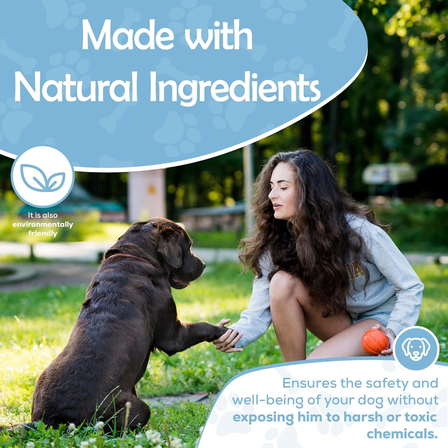 Natural Pet Deterrent Spray! No Chew Spray for Dogs, Potty Training for Puppies & Dogs, for Indoor & Outdoor Use, Bitter Spray for Pets, Safe, Effective, Made in The USA, 8 oz