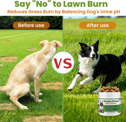 VUN Green Grass Dog Chews,Dog Urine Neutralizer for Lawn,Grass Saver Green Lawn Chews,Yellow Grass Spots&Lawn Burn,Support Urinary&Digestive with DL-Methionine,Cranberry&Probiotics-100 Soft Chews