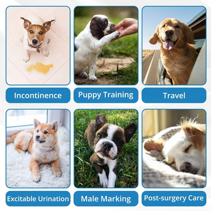 Paw Legend Washable Dogs Diapers Male Dog Belly Bands for Male Dogs Diapers Reusable Puppy & Doggie Diapers Male (5 Pack, Small)