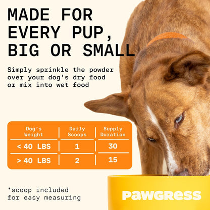 5-in-1 Dog Probiotic Powder – 100% Natural Gut Health Support with Prebiotics, Postbiotics & Enzymes – Crafted by Dog Nutritionist Kayla Kowalski, Made in USA – 30 Scoops