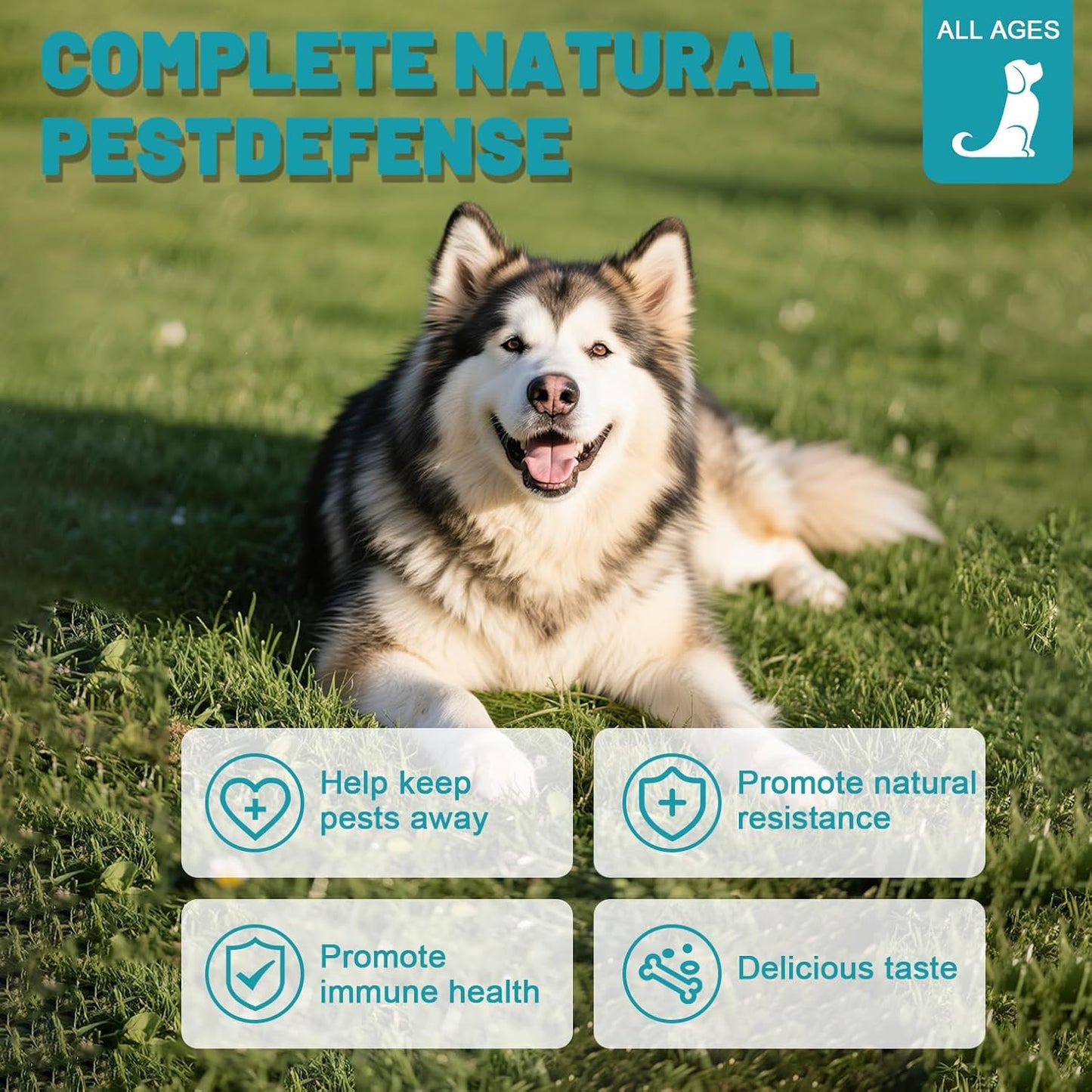 Dog (Chicken Flavor, 150 Chews)