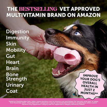 Multivitamin for Dogs + Dental Powder for Teeth Cleaning & Plaque Removal, Glucosamine, Probiotics, Omega Fish Oil, Vitamins for Skin, Coat, and Allergies