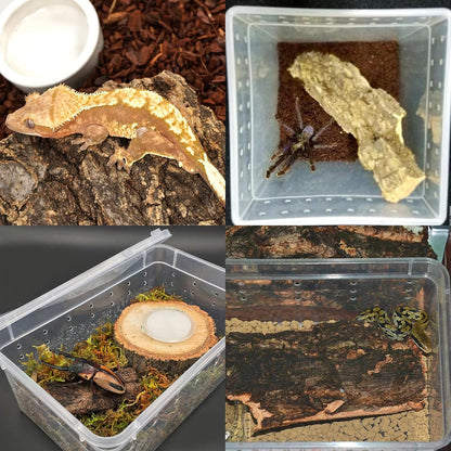 VCEPJH Reptile Bark Bedding,1 LB Natural Cork Bark for Geckos and 2 Pcs Reptile Bridge Leopard Gecko Climbing Ladder Wooden Basking Lounger for Crested Gecko Bearded Dragon Hermit Crab Turtle Chameleo