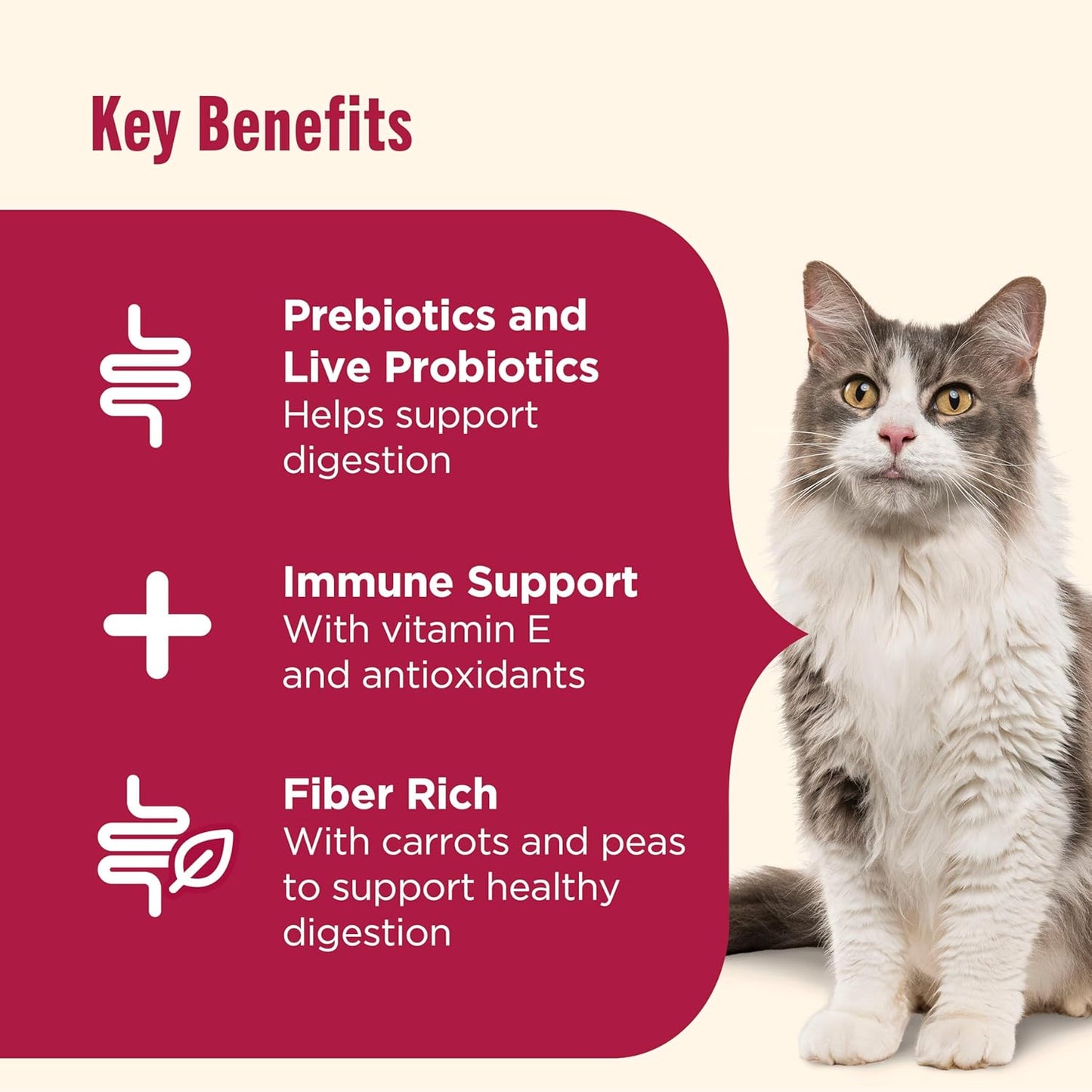 Nutrish Everyday Digestion Chicken Brown Rice and Salmon Recipe with Peas and Carrots Dry Cat Food, 13 lb. Bag, Packaging May Vary (Rachael Ray)