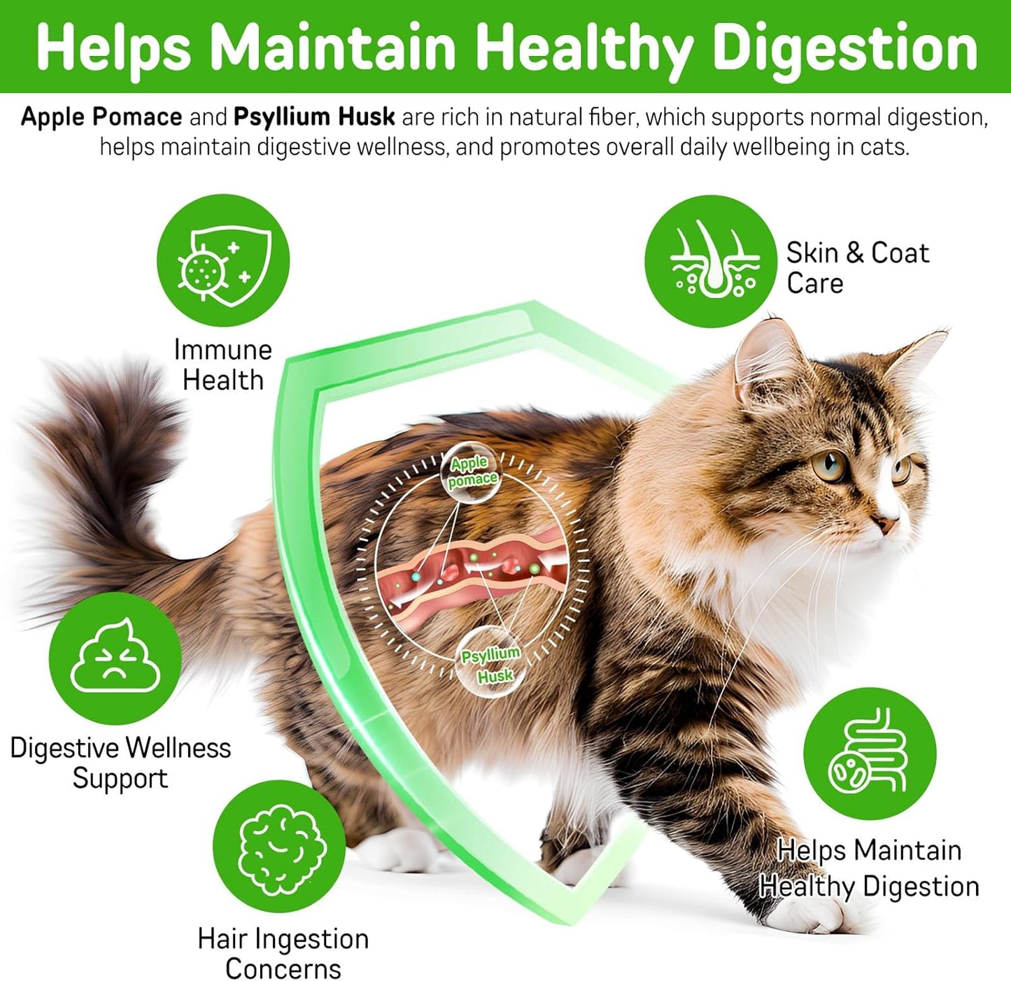 Cat Hairball Support Treats with Psyllium Husk & Omega-3, Chicken Flavor Soft & Crunchy Bites for Ingested Hair Elimination, Digestive & Skin Health, 3.7 oz (100g)