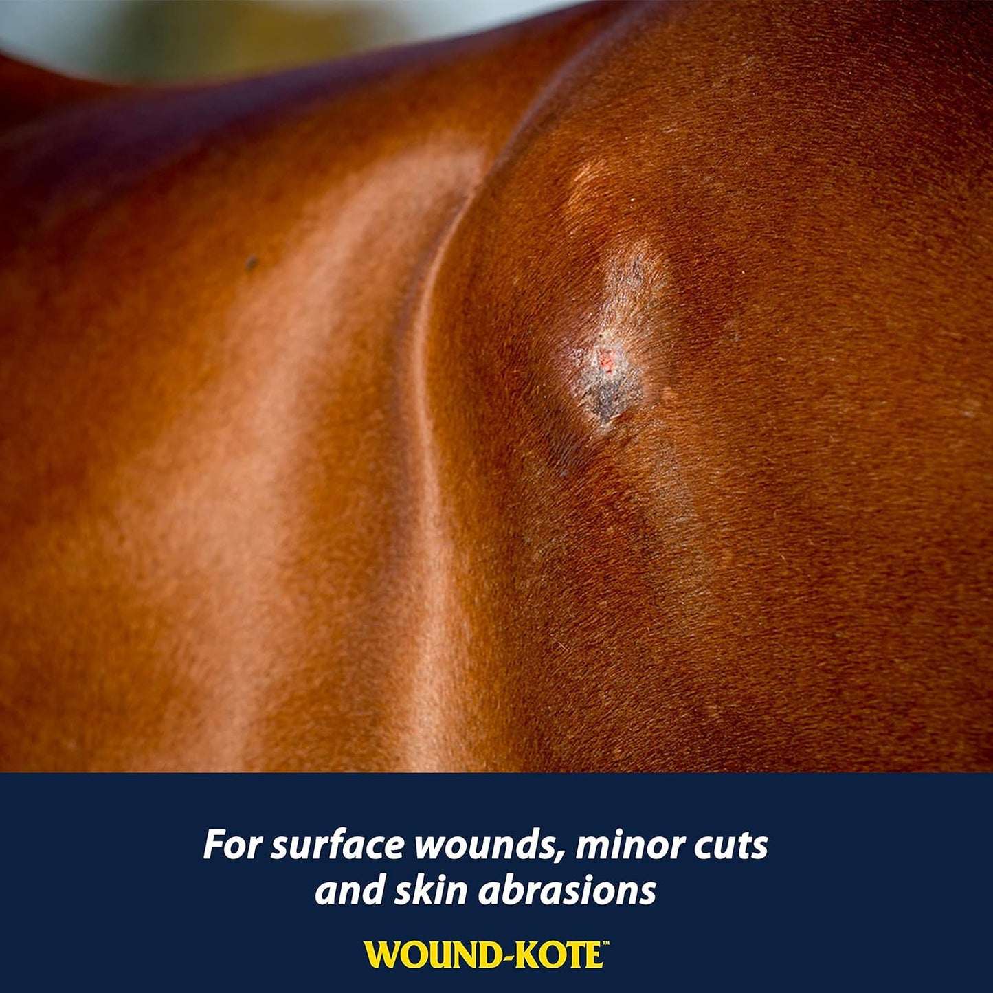 Farnam Wound-Kote Blue Lotion Spray Horse Wound Care for use on Horses and Dogs, Antiseptic Properties, for Minor Wounds, Cuts and Sores, 7 Oz.