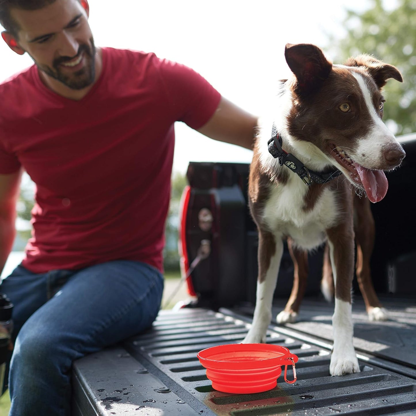 Franklin Pet Supply - Collapsible Pet Travel Bowl - BPA Free - Dogs- Cats - Dog Bowl- Food - Water Bowl - Small - Medium - Large Dog Food Bowl - Puppy- Includes Clip