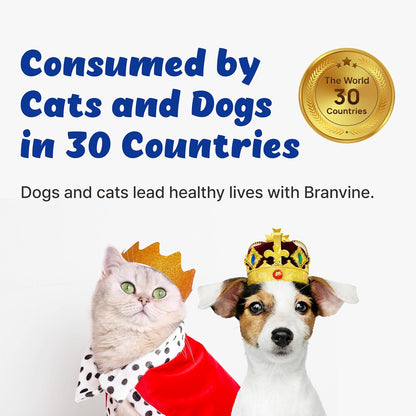 Dental-Tummy Toothpaste & Dental Rinse for Cats and Dogs (110ml) with Patented 2-Strain Probiotic, 5 Enzymes, Organic Fucoidan, Vitamin U, Mastic Gum