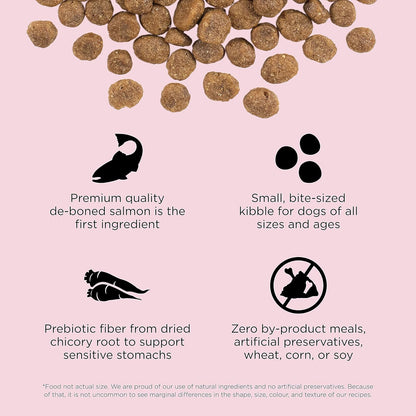 Go! Solutions Sensitivities Limited Ingredients, Grain-Free Dry Dog Food, Small Bites Salmon Recipe for Sensitive Stomach, 6 lb Bag