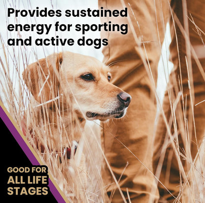 VICTOR Super Premium Dog Food – Professional Dry Dog Food – Super Premium Kibble with 26% Protein – Gluten-Free with Beef, Chicken & Pork Meals – for High Energy and Active Dogs & Puppies, 30lbs