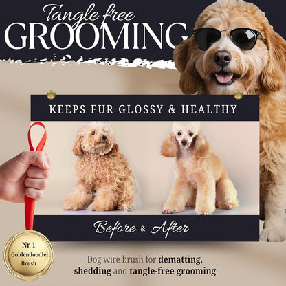 Tiny Slicker Brush for Dogs - Protected Pins for Extra Comfort - 1 inch Pins for Easy Detangling for Long Hair Dog, Cats, Doodle, Goldendoodle