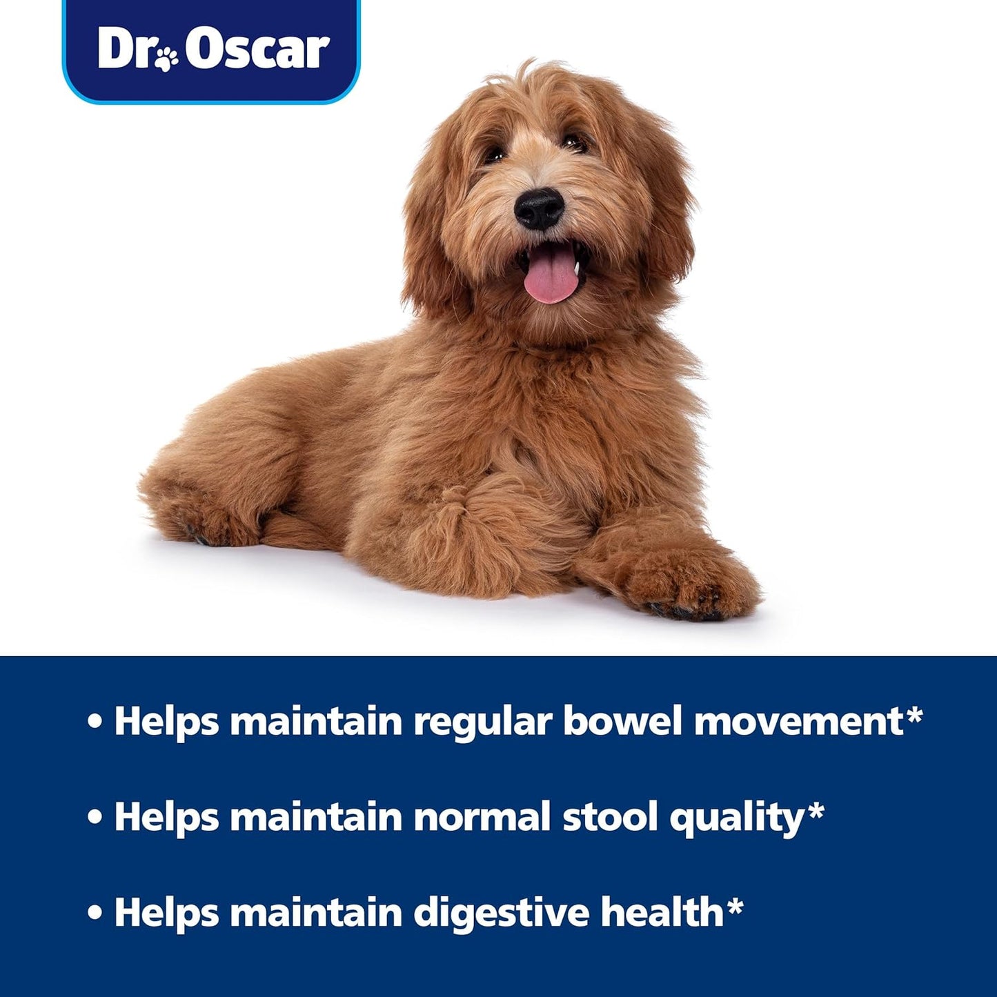 Dr. Oscar Gut Health for Dogs, Fiber for Dogs, Slippery Elm, Probiotics for Digestive Health, Psyllium Husk, Helps Maintain Regular Bowel Movement & Stool Quality, Powder 12.7 OZ, 360 Grams, 90 Scoops