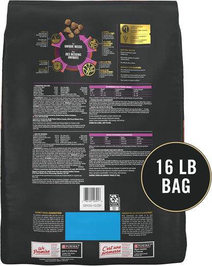 Purina Pro Plan Sensitive Skin and Stomach Cat Food Dry, Salmon and Rice Formula, High-Protein Dry Cat Food for Sensitive Stomachs 16 Pound (Pack of 1)