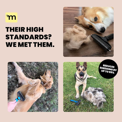 MalsiPree Dog Brush for Shedding - Large, Blue, 2-in-1 - Deshedding Dog Grooming Brush & Undercoat Rake with Dematting Comb for medium to Large Double Coated