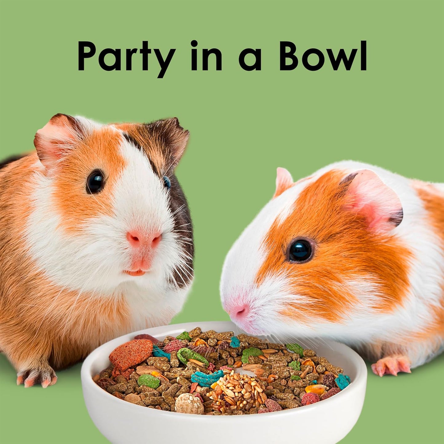 Kaytee Fiesta Guinea Pig Food, Nutritious and Fun Blend, Supports Dental Health and Digestion, 4.5 pounds