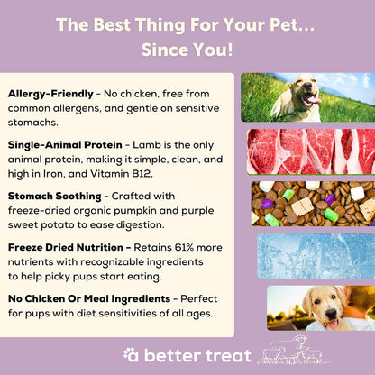 A Better Treat | Allergy Friendly Lamb Dry Dog Food | Raw You Can See | No Chicken, Lamb Only Animal Protein, No Meal Ingredients, Grain Free | Stomach Soothing Kibble + Freeze Dried Raw Dog Food