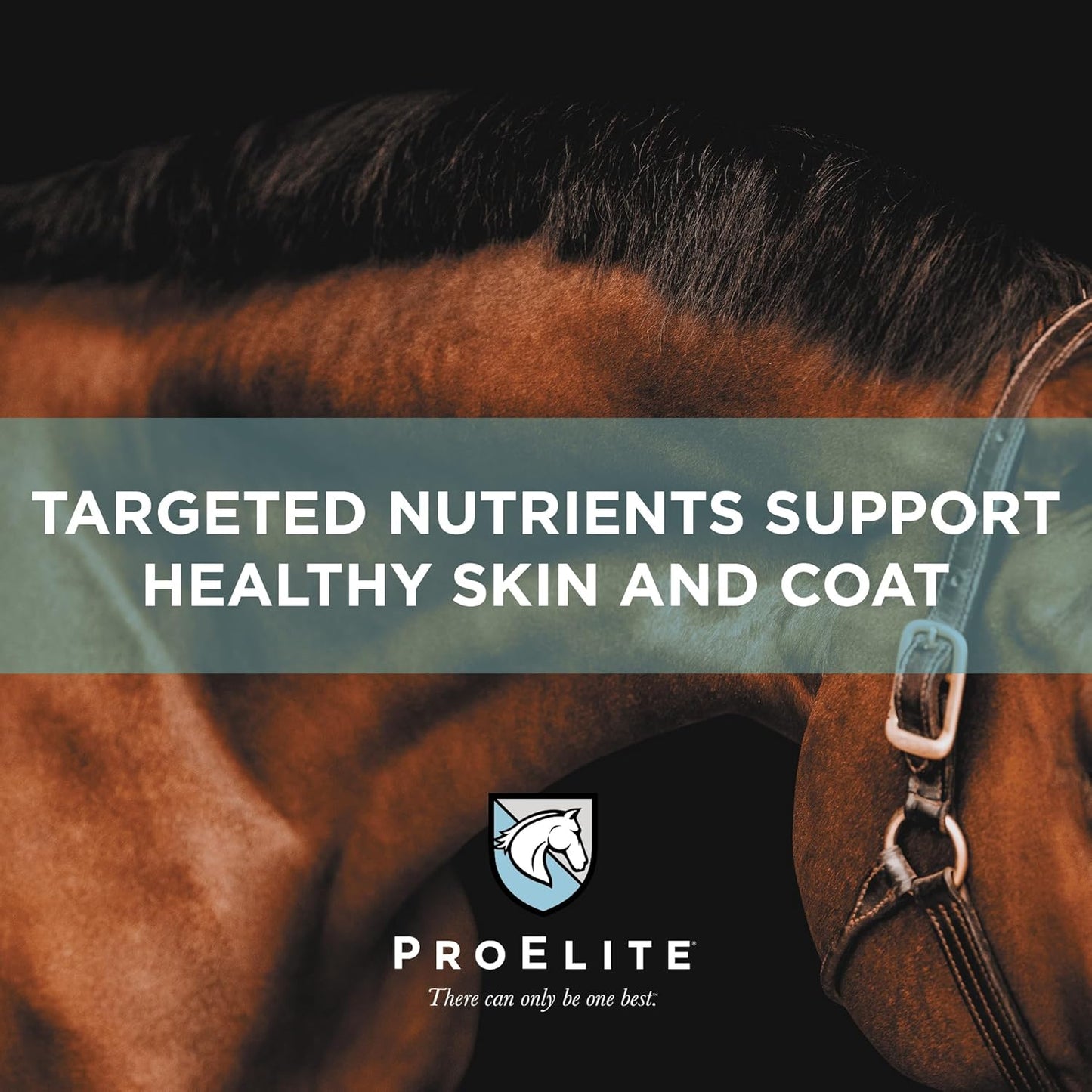 ProElite Hoof, Horse Hoof Supplement, 3 lbs