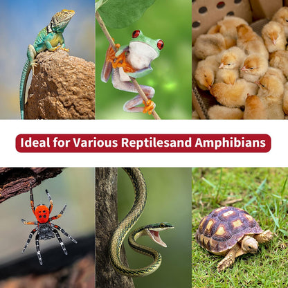 250W R40 Infrared Heat Lamp Bulb for Chicken Brooder, Pets, Reptiles, Bathroom & Sauna, E26 120V, 2000Hrs Red Light Therapy, 1-Pack